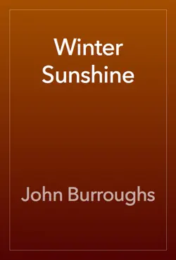 winter sunshine book cover image