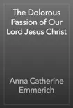 The Dolorous Passion of Our Lord Jesus Christ synopsis, comments