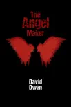 The Angel Maker synopsis, comments