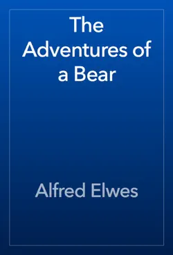 the adventures of a bear book cover image