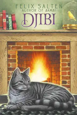 djibi book cover image