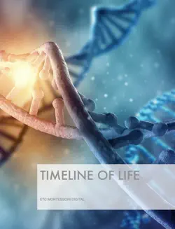 timeline of life book cover image