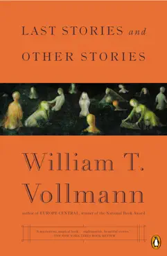 last stories and other stories book cover image