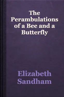 the perambulations of a bee and a butterfly book cover image
