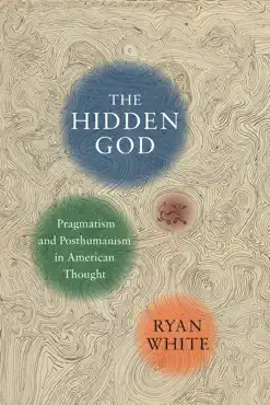 the hidden god book cover image