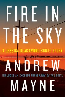 fire in the sky book cover image
