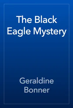 the black eagle mystery book cover image