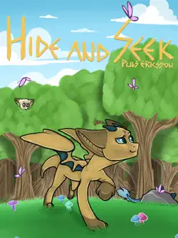 hide and seek book cover image