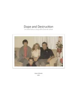 dope and destruction: an inside look at a drug addict from the outside book cover image