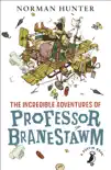 The Incredible Adventures of Professor Branestawm synopsis, comments