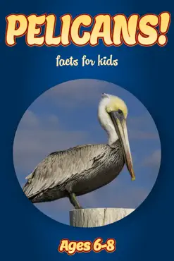 facts about pelicans for kids 6-8 book cover image