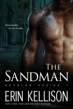 the sandman book cover image