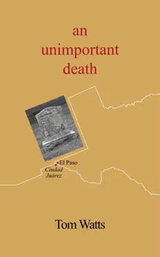 an unimportant death book cover image