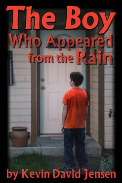the boy who appeared from the rain book cover image