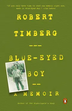 blue-eyed boy book cover image