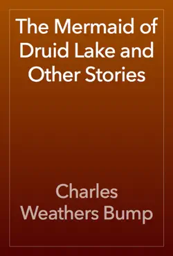 the mermaid of druid lake and other stories book cover image