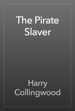 the pirate slaver book cover image