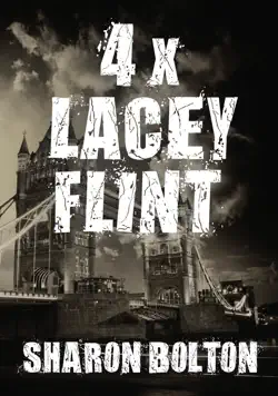 lacey flint x 4 book cover image