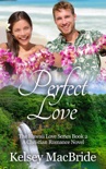 Perfect Love: A Christian Romance Novel book summary, reviews and downlod