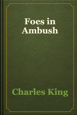 foes in ambush book cover image