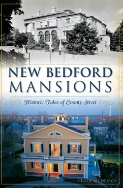 new bedford mansions book cover image
