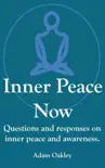 Inner Peace Now synopsis, comments