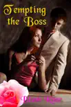 Tempting the Boss synopsis, comments