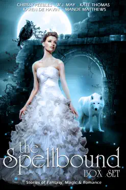 the spellbound box set: stories of fantasy, magic & romance book cover image