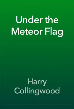 under the meteor flag imagen de la portada del libro