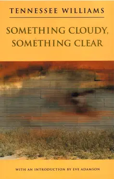 something cloudy, something clear book cover image