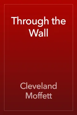 through the wall imagen de la portada del libro