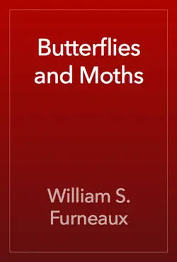 butterflies and moths book cover image