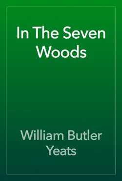 in the seven woods book cover image