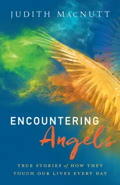 encountering angels book cover image