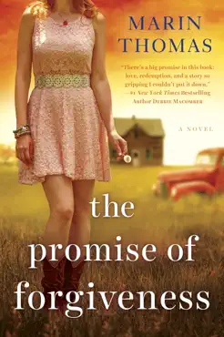 the promise of forgiveness book cover image