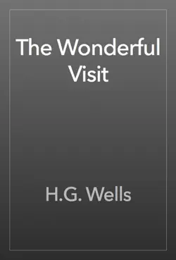 the wonderful visit book cover image