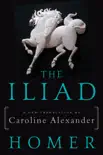 The Iliad synopsis, comments