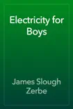 Electricity for Boys book summary, reviews and download