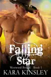Falling Star synopsis, comments