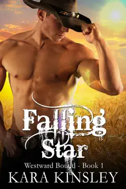falling star book cover image