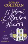 A Home for Broken Hearts sinopsis y comentarios