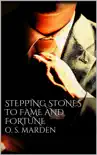 Stepping Stones to Fame and Fortune synopsis, comments