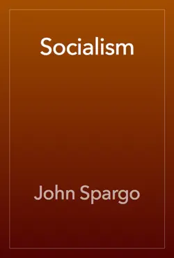 socialism book cover image