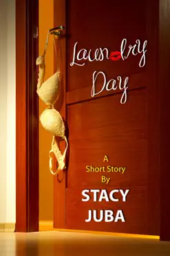 laundry day (short mystery story) book cover image
