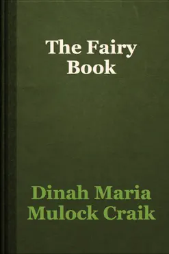 the fairy book book cover image