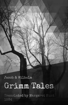 brothers grimm tales book cover image