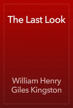 the last look imagen de la portada del libro