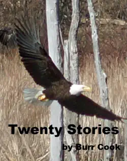 twenty stories book cover image