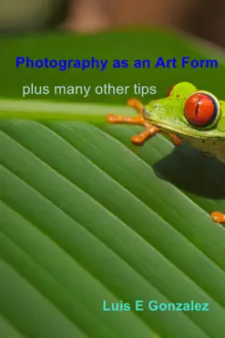 photography as an art form book cover image