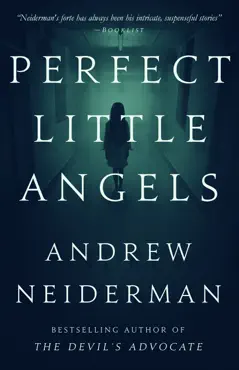 perfect little angels book cover image